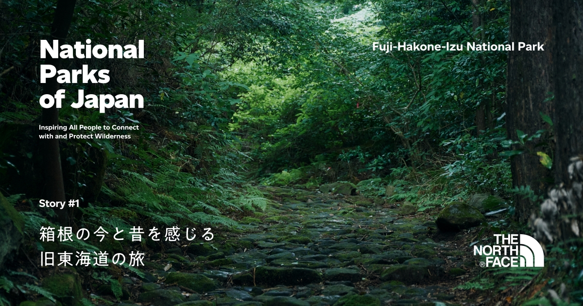 箱根の今と昔を感じる旧東海道の旅 | National Park of Japan