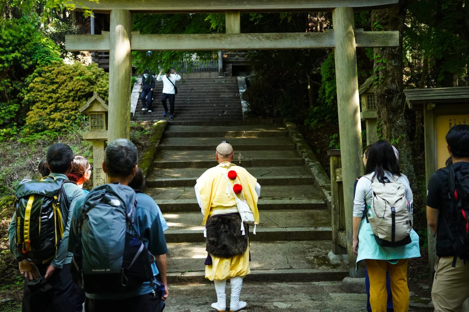 歴史を紡ぐ吉野の桜に触れる旅 2日間 | National Parks Adventure