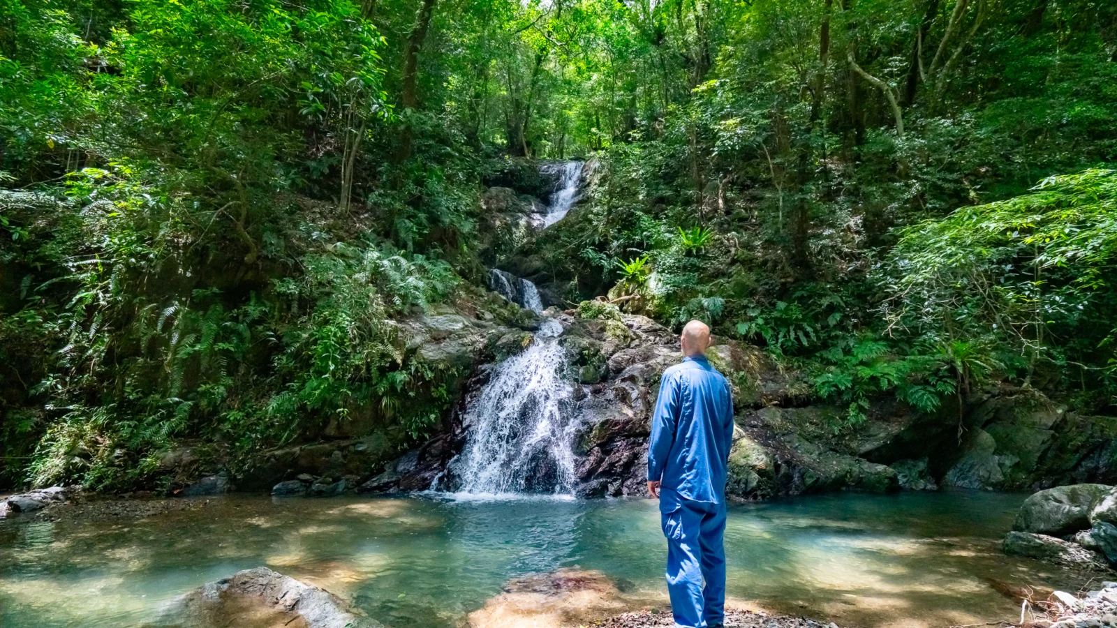 亜熱帯の森を感じるリバーハイキング