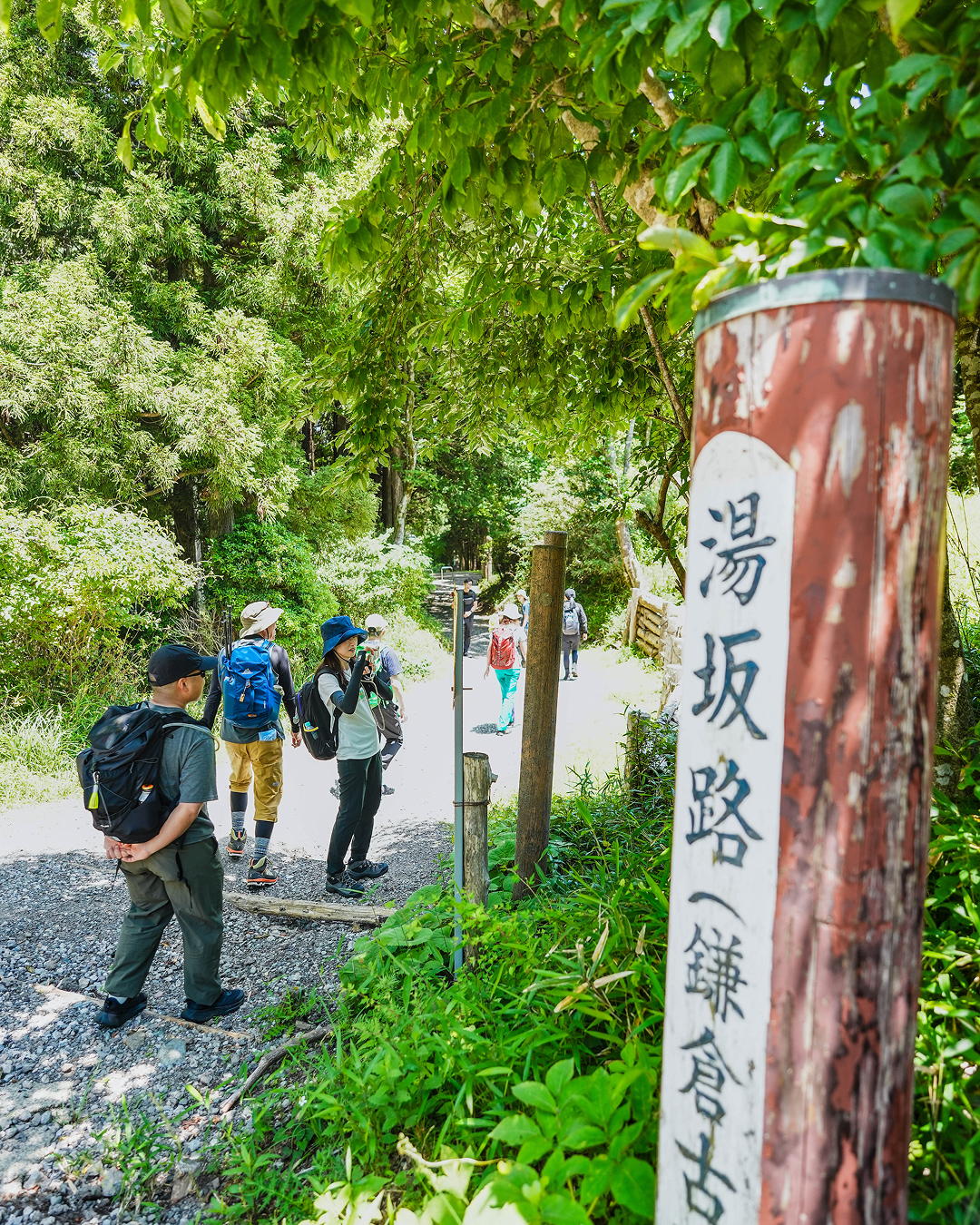 Short Program | National Parks Adventure