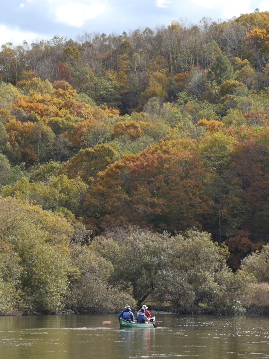 釧路川のカヌー