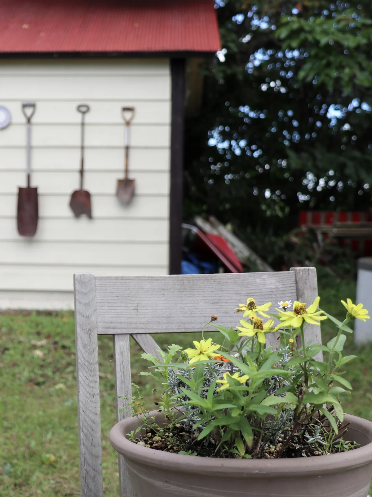 ハートンツリー