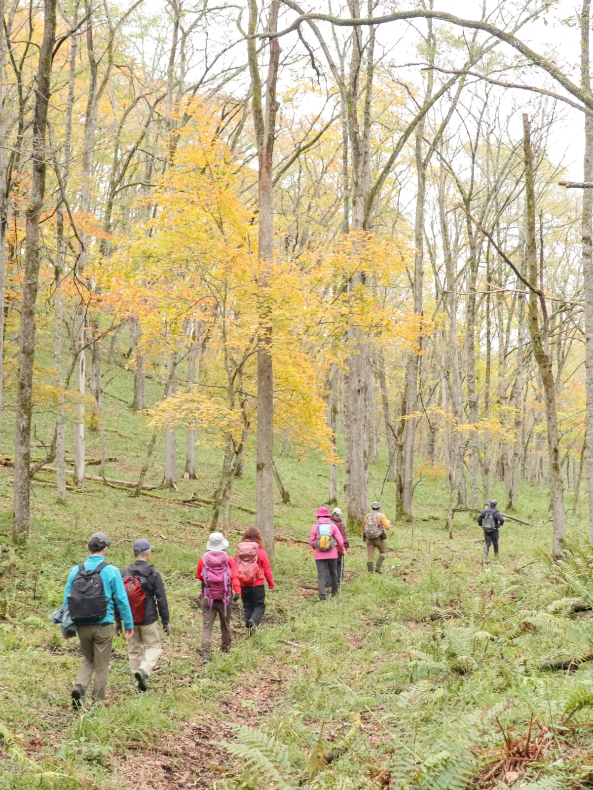 宮島岬ハイキング