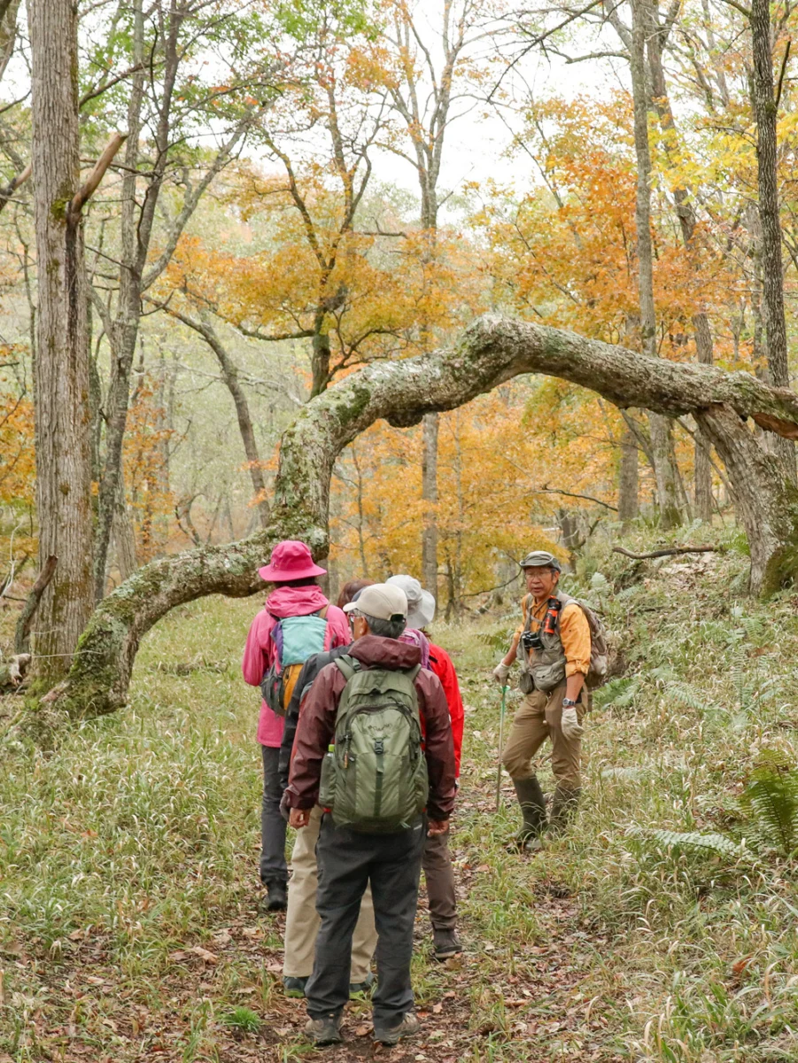 宮島岬ハイキング